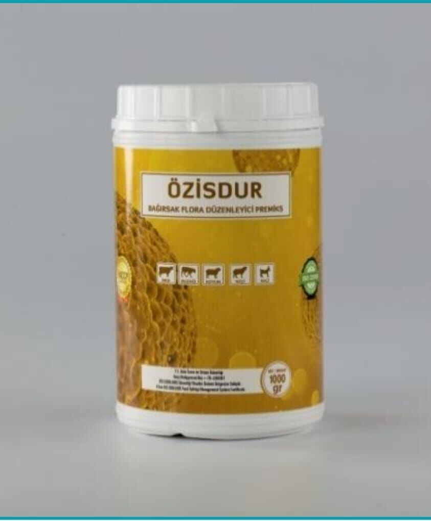 ÖZİSDUR