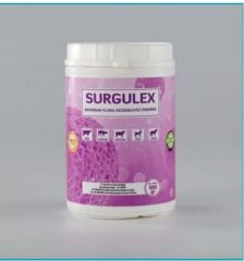 SURGULEX  Bağırsak Flora Düzenleyici