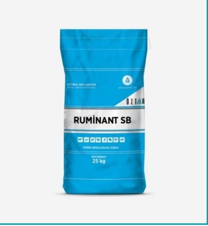 RUMİNANT SB