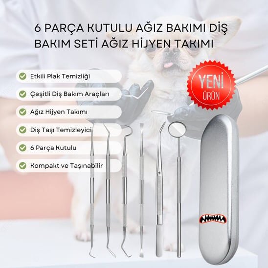 6 Parça Kutulu Ağız Bakımı Diş Bakım Seti Ağız Hijyen Takımı
