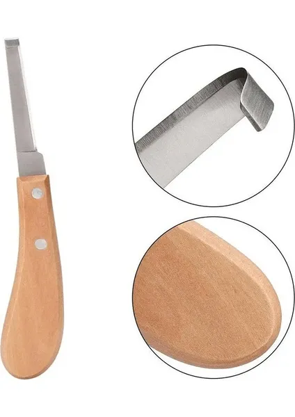 DEDEKS® Tırnak Bakım Reneti