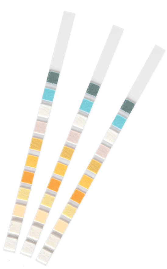 İdrar Stribi 100'lü Paket