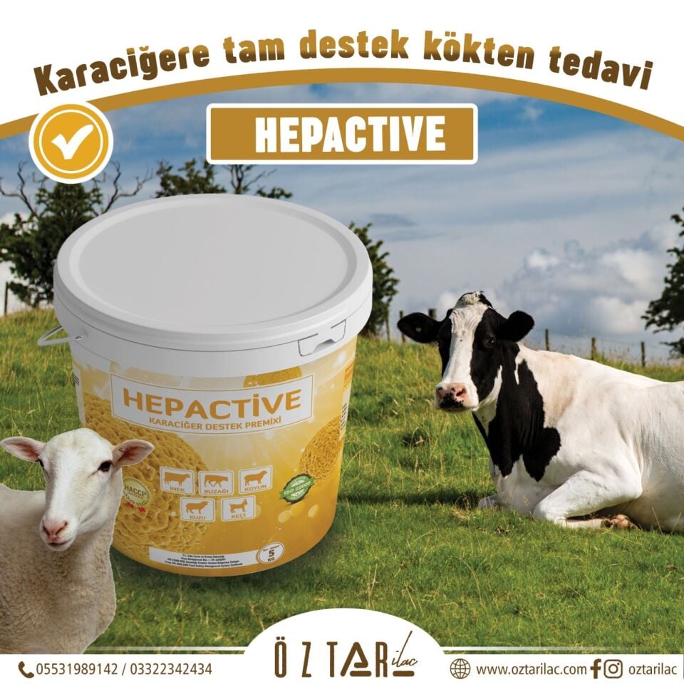 HEPACTİVE - Karaciğer Koruyucu