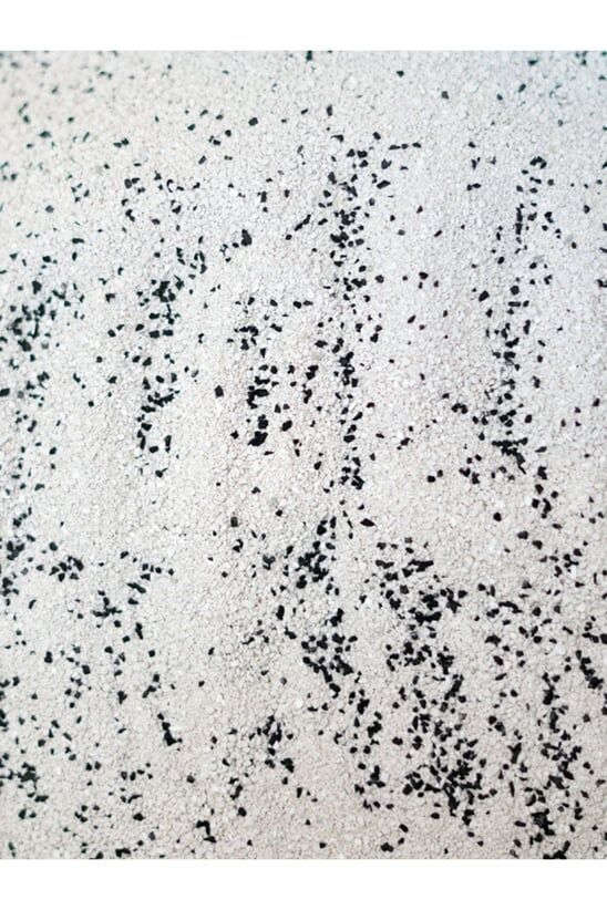 REMUVR Kedi Kumu Koku Giderici 500 Gram