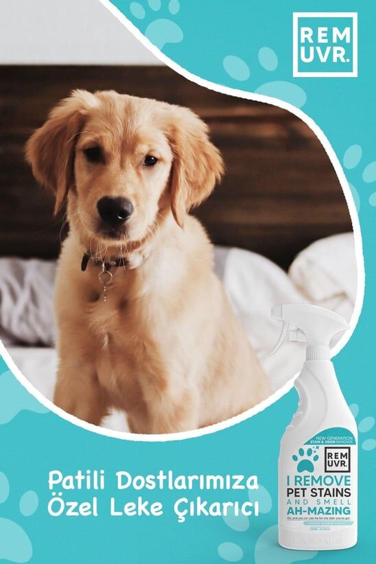 REMUVR Kediler & Köpekler Için Leke Ve Koku Giderici Sprey 750 ml