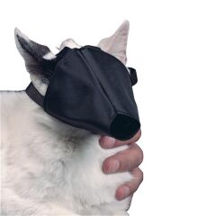 Buster Kedi Ağızlığı