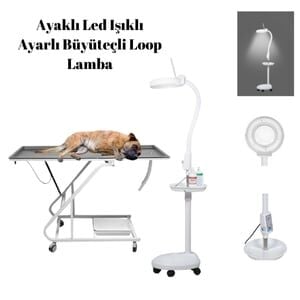 Ayaklı Led Işıklı Ayarlı Büyüteçli Loop Lamba 120 led