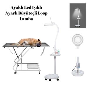 Ayaklı Led Işıklı Ayarlı Büyüteçli Loop Lamba 120 led
