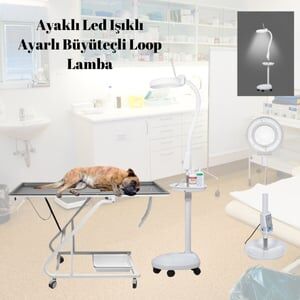 Ayaklı Led Işıklı Ayarlı Büyüteçli Loop Lamba 120 led