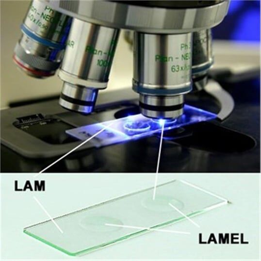 Lamel 22*22 Düz 100'lü Paket