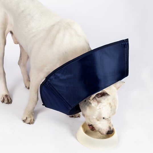 Tales Yumuşak Kumaş Yakalık 17,5 cm