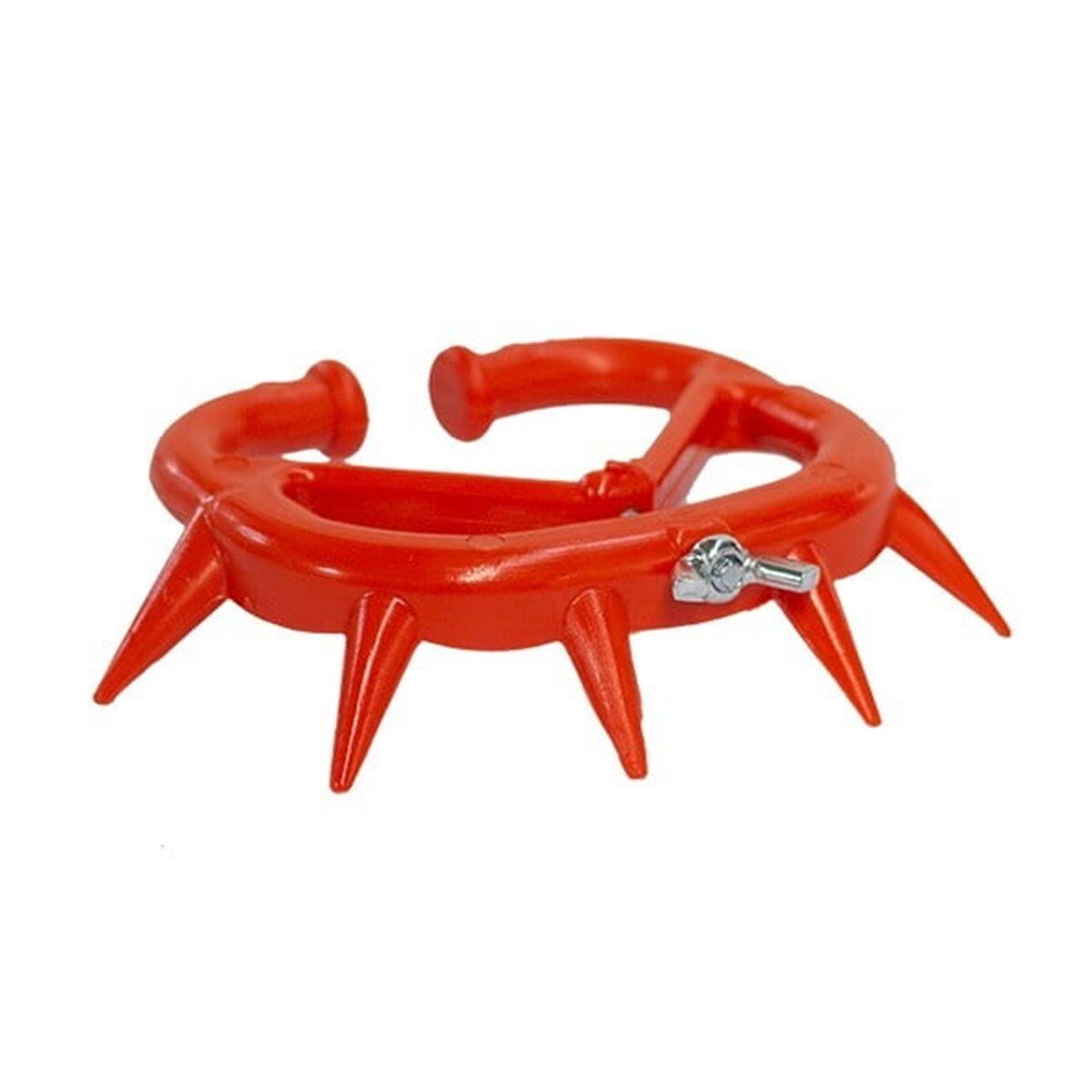 Sayberk Plastik Burunsallık