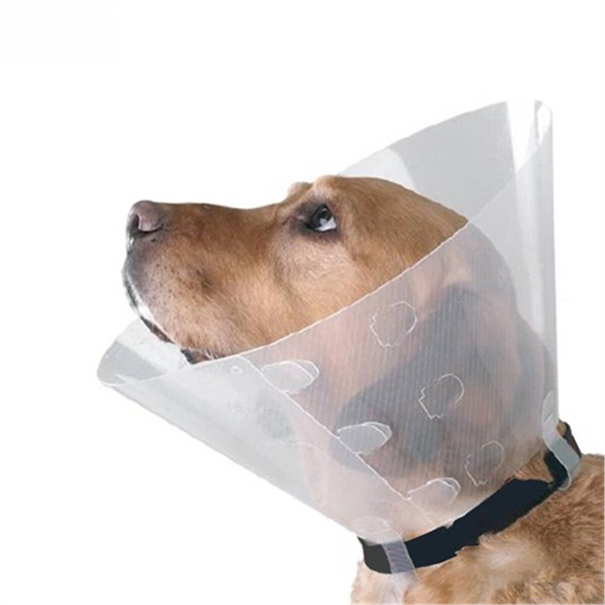 Tales Şeffaf Yakalık 15cm