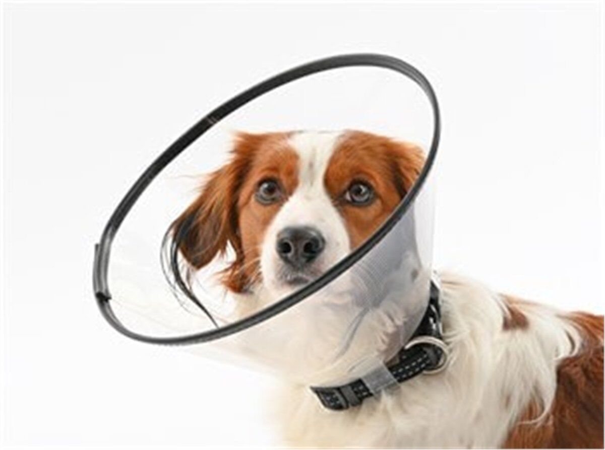 Tales Dikişli Yakalık 10 cm